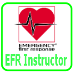 EFR First Aid Instructor training with TEAM FIrst Aid Training in Devon